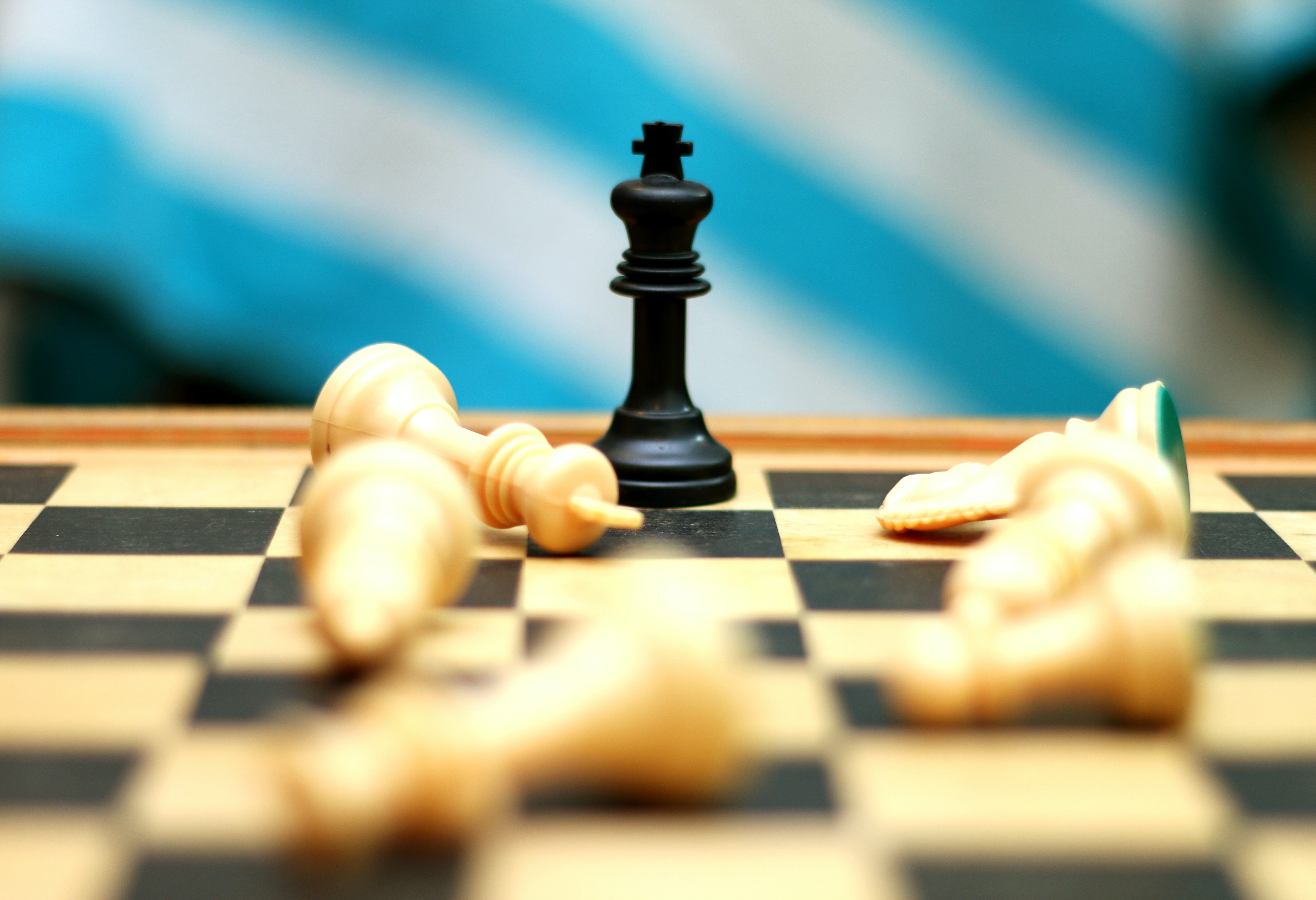 The path to chess success, Local&State