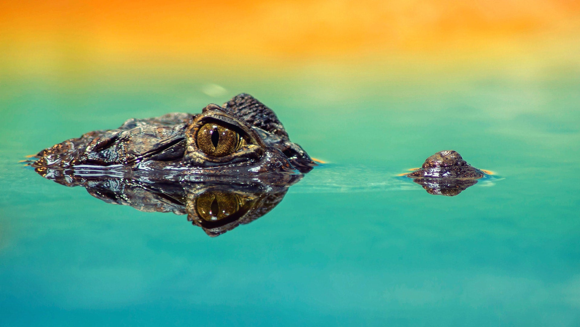 Are Third-Party Social Engineering Gaps Leaving Your Organization at Risk?